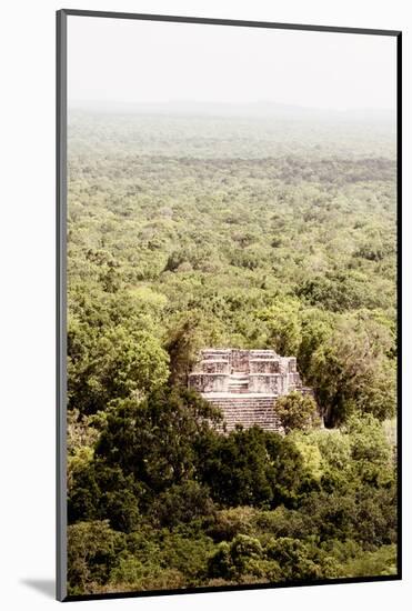 ?Viva Mexico! Collection - Ancient Maya City within the jungle VI - Calakmul-Philippe Hugonnard-Mounted Photographic Print