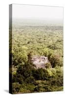 ?Viva Mexico! Collection - Ancient Maya City within the jungle VI - Calakmul-Philippe Hugonnard-Stretched Canvas