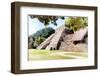 ¡Viva Mexico! Collection - Beautiful Temple of the Inscription - Palenque II-Philippe Hugonnard-Framed Photographic Print