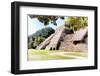 ¡Viva Mexico! Collection - Beautiful Temple of the Inscription - Palenque II-Philippe Hugonnard-Framed Photographic Print