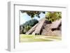 ¡Viva Mexico! Collection - Beautiful Temple of the Inscription - Palenque II-Philippe Hugonnard-Framed Photographic Print