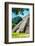 ¡Viva Mexico! Collection - Beautiful Temple of the Inscription - Palenque III-Philippe Hugonnard-Framed Photographic Print