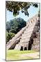 ¡Viva Mexico! Collection - Beautiful Temple of the Inscription - Palenque IV-Philippe Hugonnard-Mounted Photographic Print