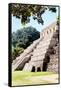 ¡Viva Mexico! Collection - Beautiful Temple of the Inscription - Palenque IV-Philippe Hugonnard-Framed Stretched Canvas