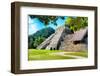 ¡Viva Mexico! Collection - Beautiful Temple of the Inscription - Palenque-Philippe Hugonnard-Framed Photographic Print