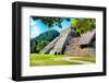 ¡Viva Mexico! Collection - Beautiful Temple of the Inscription - Palenque-Philippe Hugonnard-Framed Photographic Print