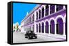 ¡Viva Mexico! Collection - Black VW Beetle and Mauve Architecture in Campeche-Philippe Hugonnard-Framed Stretched Canvas