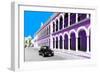 ¡Viva Mexico! Collection - Black VW Beetle and Mauve Architecture in Campeche-Philippe Hugonnard-Framed Photographic Print