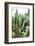 ¡Viva Mexico! Collection - Cactus Details III-Philippe Hugonnard-Framed Photographic Print