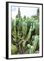 ¡Viva Mexico! Collection - Cactus Details III-Philippe Hugonnard-Framed Photographic Print