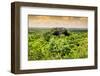 ¡Viva Mexico! Collection - Calakmul in the Mexican Jungle at Sunset-Philippe Hugonnard-Framed Photographic Print