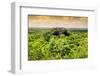 ¡Viva Mexico! Collection - Calakmul in the Mexican Jungle at Sunset-Philippe Hugonnard-Framed Photographic Print