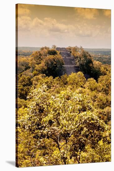 ¡Viva Mexico! Collection - Calakmul in the Mexican Jungle with Fall Colors III-Philippe Hugonnard-Stretched Canvas