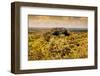 ¡Viva Mexico! Collection - Calakmul in the Mexican Jungle with Fall Colors-Philippe Hugonnard-Framed Photographic Print