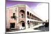 ¡Viva Mexico! Collection - Campeche Architecture III-Philippe Hugonnard-Mounted Photographic Print