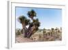 ¡Viva Mexico! Collection - Cantona Archaeological Ruins II-Philippe Hugonnard-Framed Photographic Print