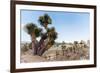 ¡Viva Mexico! Collection - Cantona Archaeological Ruins II-Philippe Hugonnard-Framed Photographic Print