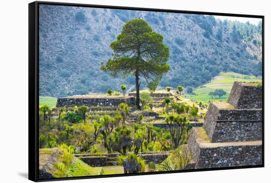 ¡Viva Mexico! Collection - Cantona Archaeological Ruins III-Philippe Hugonnard-Framed Stretched Canvas