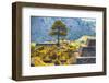 ¡Viva Mexico! Collection - Cantona Archaeological Ruins IV-Philippe Hugonnard-Framed Photographic Print