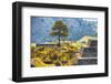 ¡Viva Mexico! Collection - Cantona Archaeological Ruins IV-Philippe Hugonnard-Framed Photographic Print