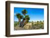 ¡Viva Mexico! Collection - Cantona Archaeological Ruins-Philippe Hugonnard-Framed Photographic Print