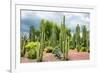 ¡Viva Mexico! Collection - Cardon Cactus-Philippe Hugonnard-Framed Photographic Print