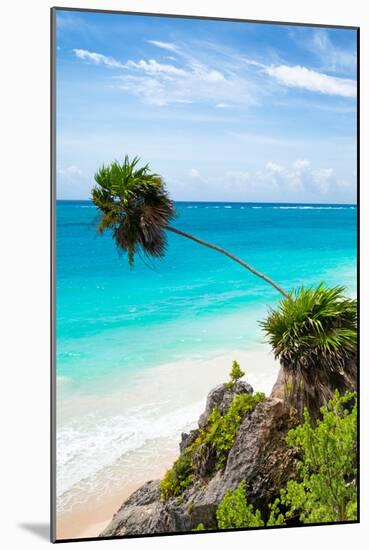 ?Viva Mexico! Collection - Caribbean Coastline in Tulum III-Philippe Hugonnard-Mounted Photographic Print