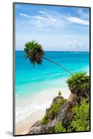 ?Viva Mexico! Collection - Caribbean Coastline in Tulum III-Philippe Hugonnard-Mounted Photographic Print