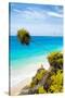 ¡Viva Mexico! Collection - Caribbean Coastline in Tulum IV-Philippe Hugonnard-Stretched Canvas