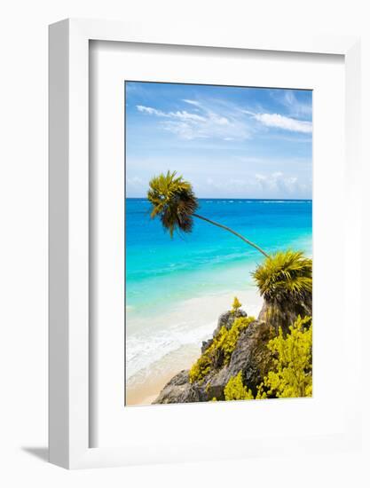 ¡Viva Mexico! Collection - Caribbean Coastline in Tulum IV-Philippe Hugonnard-Framed Photographic Print