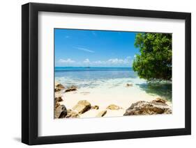 ¡Viva Mexico! Collection - Caribbean Coastline - Isla Mujeres-Philippe Hugonnard-Framed Photographic Print