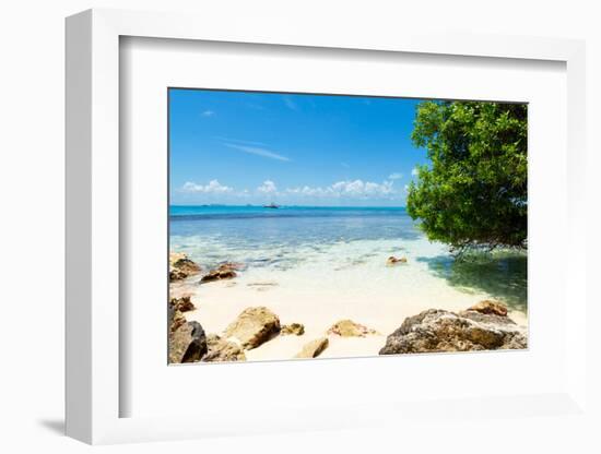 ¡Viva Mexico! Collection - Caribbean Coastline - Isla Mujeres-Philippe Hugonnard-Framed Photographic Print