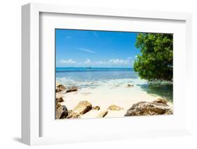 ¡Viva Mexico! Collection - Caribbean Coastline - Isla Mujeres-Philippe Hugonnard-Framed Photographic Print