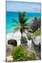 ?Viva Mexico! Collection - Caribbean Coastline-Philippe Hugonnard-Mounted Premium Photographic Print