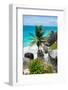 ?Viva Mexico! Collection - Caribbean Coastline-Philippe Hugonnard-Framed Photographic Print