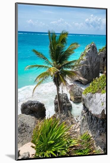 ?Viva Mexico! Collection - Caribbean Coastline-Philippe Hugonnard-Mounted Photographic Print