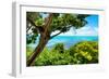 ¡Viva Mexico! Collection - Caribbean Sea - Cancun-Philippe Hugonnard-Framed Photographic Print