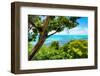 ¡Viva Mexico! Collection - Caribbean Sea - Cancun-Philippe Hugonnard-Framed Photographic Print