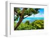 ¡Viva Mexico! Collection - Caribbean Sea - Cancun-Philippe Hugonnard-Framed Photographic Print