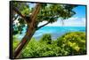 ¡Viva Mexico! Collection - Caribbean Sea - Cancun-Philippe Hugonnard-Framed Stretched Canvas