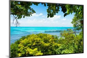 ¡Viva Mexico! Collection - Caribbean Sea V - Cancun-Philippe Hugonnard-Mounted Photographic Print