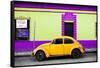 ¡Viva Mexico! Collection - Classic Yellow VW Beetle Car and Colorful Wall-Philippe Hugonnard-Framed Stretched Canvas