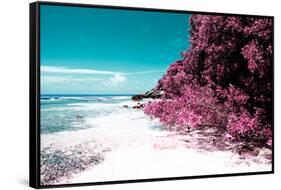 ¡Viva Mexico! Collection - Coastline Paradise in Isla Mujeres II-Philippe Hugonnard-Framed Stretched Canvas