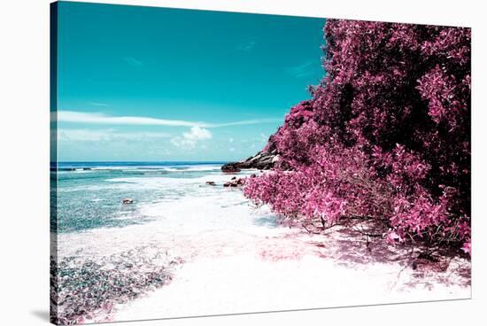 ¡Viva Mexico! Collection - Coastline Paradise in Isla Mujeres II-Philippe Hugonnard-Stretched Canvas