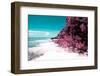 ¡Viva Mexico! Collection - Coastline Paradise in Isla Mujeres II-Philippe Hugonnard-Framed Photographic Print