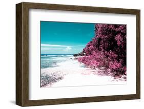 ¡Viva Mexico! Collection - Coastline Paradise in Isla Mujeres II-Philippe Hugonnard-Framed Photographic Print