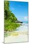 ?Viva Mexico! Collection - Coastline Paradise in Isla Mujeres III-Philippe Hugonnard-Mounted Premium Photographic Print