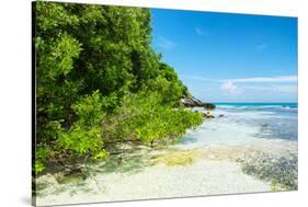 ¡Viva Mexico! Collection - Coastline Paradise in Isla Mujeres-Philippe Hugonnard-Stretched Canvas