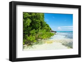 ¡Viva Mexico! Collection - Coastline Paradise in Isla Mujeres-Philippe Hugonnard-Framed Photographic Print