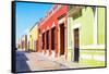 ¡Viva Mexico! Collection - Color Street in Campeche-Philippe Hugonnard-Framed Stretched Canvas